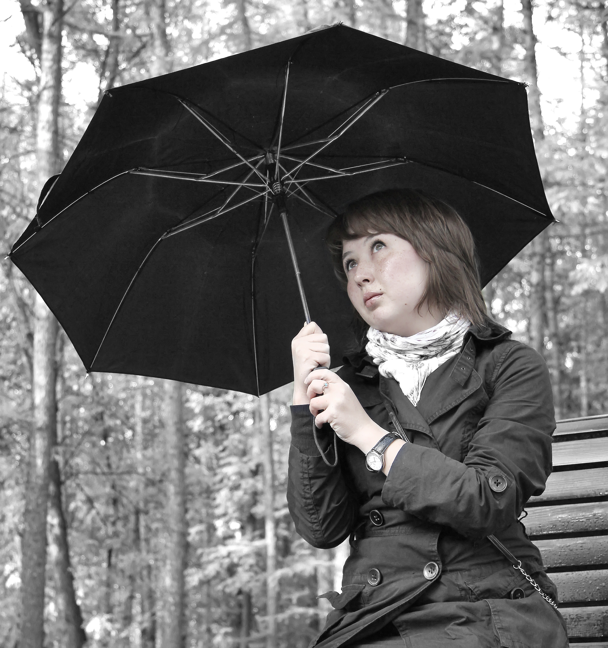 dreamstime_m_21337471